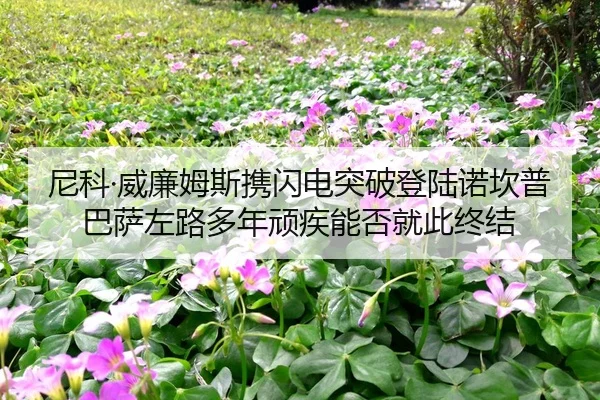 ni-ke-wei-lian-mu-si-xie-shan-dian-tu-po-deng-lu-nuo-kan-pu-ba-sa-zuo-lu-duo-nian-wan-ji-neng-fou-jiu-ci-zhong-jie-2-309.jpg