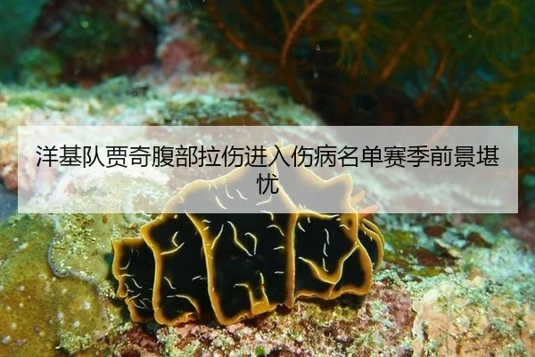 洋基队贾奇腹部拉伤进入伤病名单赛季前景堪忧