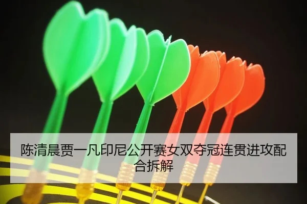 chen-qing-chen-jia-yi-fan-yin-ni-gong-kai-sai-nv-shuang-duo-guan-lian-guan-jin-gong-pei-he-chai-jie-2-529.jpg