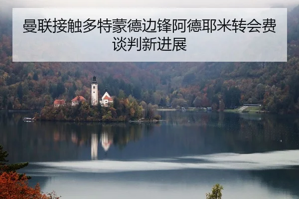 曼联接触多特蒙德边锋阿德耶米转会费谈判新进展